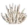 Decoratie Koraal - wit - polyresin - 14x18x11 cm - Leen Bakker
