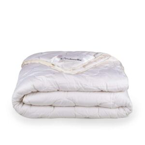 Cinderella dekbed Lana 2.0 - 4-seizoenen - 200x200 cm - Leen Bakker