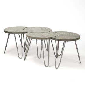 Richter young design Salontafel (set van 4) - Massief mangohout Hout